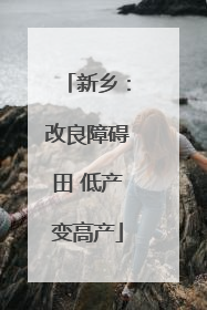 新乡：改良障碍田 低产变高产