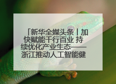 新华全媒头条丨加快赋能千行百业 持续优化产业生态——浙江推动人工智能健康有序发展观察