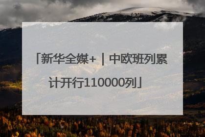 新华全媒+｜中欧班列累计开行110000列