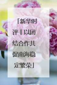 新华时评丨以团结合作共促南海稳定繁荣