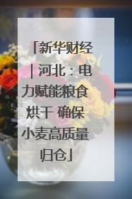 新华财经｜河北：电力赋能粮食烘干 确保小麦高质量归仓