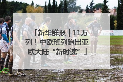 新华鲜报｜11万列！中欧班列跑出亚欧大陆“新时速”