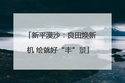 新平漠沙：良田焕新机 绘就好“丰”景