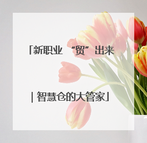 新职业 “贸”出来｜智慧仓的大管家