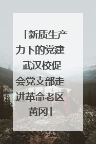 新质生产力下的党建 武汉校促会党支部走进革命老区黄冈