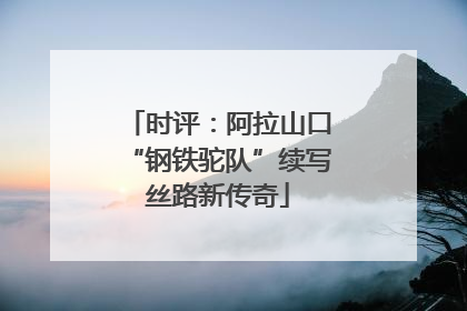 时评：阿拉山口“钢铁驼队”续写丝路新传奇