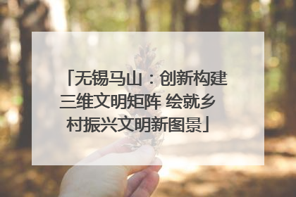无锡马山：创新构建三维文明矩阵 绘就乡村振兴文明新图景
