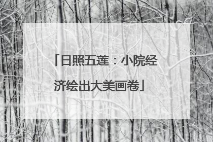 日照五莲：小院经济绘出大美画卷