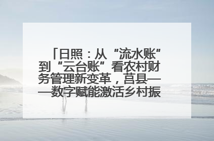 日照：从“流水账”到“云台账”看农村财务管理新变革，莒县——数字赋能激活乡村振兴“一池春水”