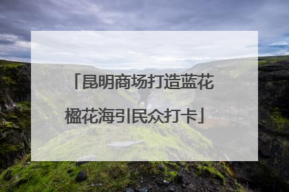 昆明商场打造蓝花楹花海引民众打卡