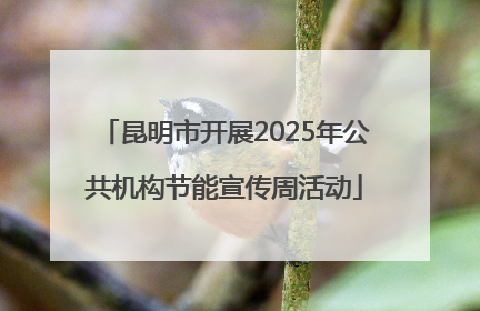 昆明市开展2025年公共机构节能宣传周活动