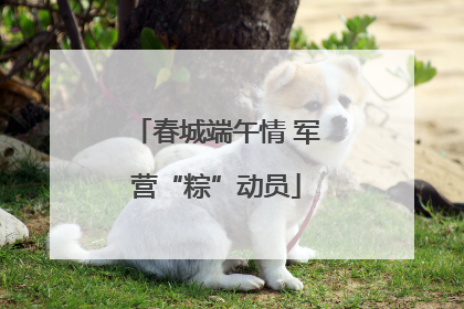 春城端午情 军营“粽”动员