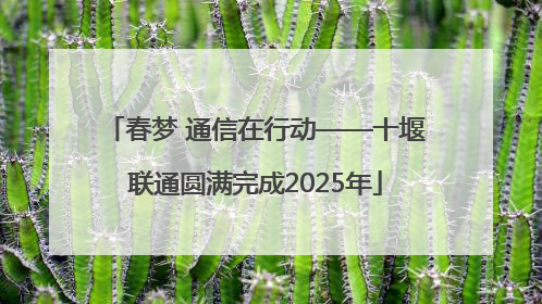 春梦 通信在行动——十堰联通圆满完成2025年
