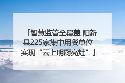 智慧监管全覆盖 阳新县225家集中用餐单位实现“云上明厨亮灶”
