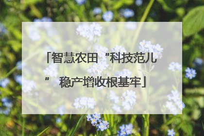 智慧农田“科技范儿” 稳产增收根基牢