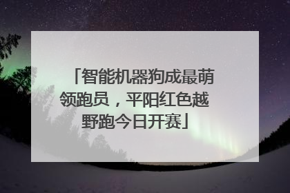 智能机器狗成最萌领跑员，平阳红色越野跑今日开赛