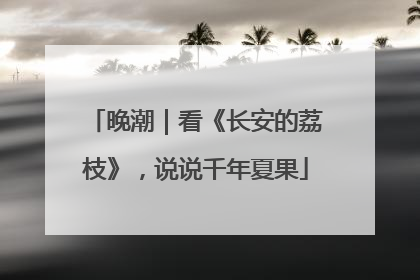 晚潮｜看《长安的荔枝》，说说千年夏果