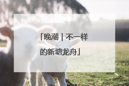晚潮｜不一样的新塘龙舟