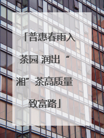 普惠春雨入茶园 润出“湘”茶高质量致富路