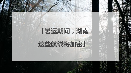 暑运期间，湖南这些航线将加密