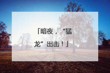 暗夜，“猛龙”出击！
