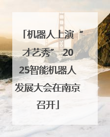 机器人上演“才艺秀” 2025智能机器人发展大会在南京召开