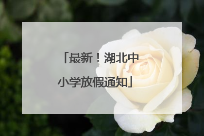 最新！湖北中小学放假通知