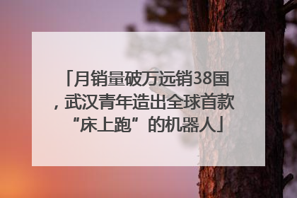 月销量破万远销38国，武汉青年造出全球首款“床上跑”的机器人