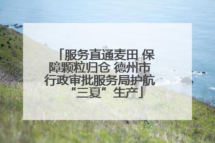 服务直通麦田 保障颗粒归仓 德州市行政审批服务局护航“三夏”生产