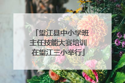 望江县中小学班主任技能大赛培训在望江三小举行