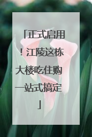 正式启用！江陵这栋大楼吃住购一站式搞定
