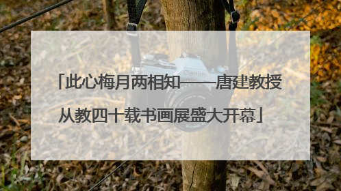 此心梅月两相知——唐建教授从教四十载书画展盛大开幕