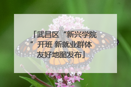 武昌区“新兴学院”开班 新就业群体友好地图发布