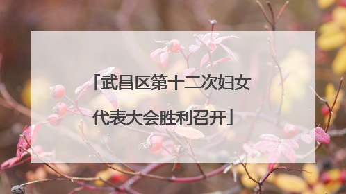 武昌区第十二次妇女代表大会胜利召开