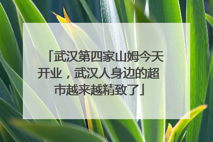 武汉第四家山姆今天开业，武汉人身边的超市越来越精致了