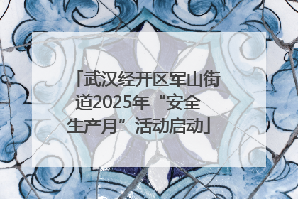 武汉经开区军山街道2025年“安全生产月”活动启动