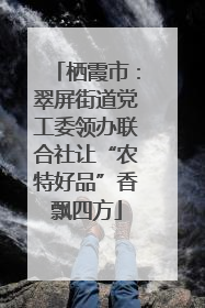 栖霞市：翠屏街道党工委领办联合社让“农特好品”香飘四方