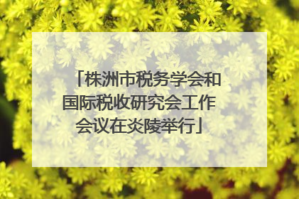 株洲市税务学会和国际税收研究会工作会议在炎陵举行