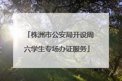 株洲市公安局开设周六学生专场办证服务