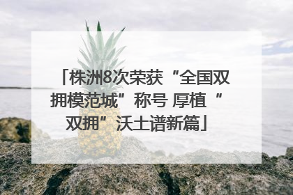 株洲8次荣获“全国双拥模范城”称号 厚植“双拥”沃土谱新篇