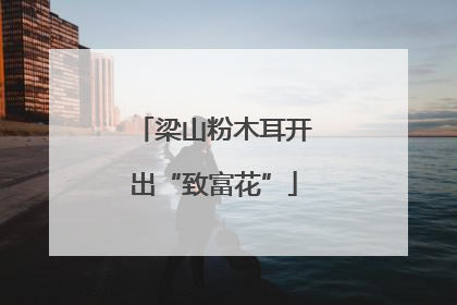 梁山粉木耳开出“致富花”