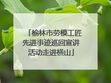 榆林市劳模工匠先进事迹巡回宣讲活动走进横山