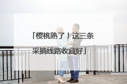 樱桃熟了！这三条采摘线路收藏好