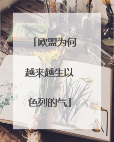 欧盟为何越来越生以色列的气