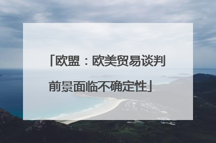 欧盟：欧美贸易谈判前景面临不确定性