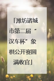 潍坊诸城市第二届“汉车杯”象棋公开赛圆满收官