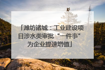 潍坊诸城：工业建设项目涉水类审批“一件事” 为企业提速增值