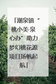 潮泉镇“桃小美·泉心办”助力梦幻桃花源项目扬帆起航