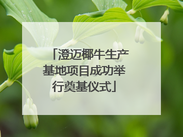 澄迈椰牛生产基地项目成功举行奠基仪式