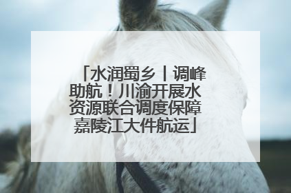 水润蜀乡丨调峰助航！川渝开展水资源联合调度保障嘉陵江大件航运